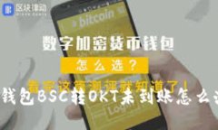 TP钱包BSC转OKT未到账怎么办？