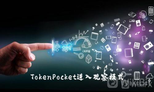 TokenPocket进入观察模式