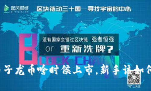 虚拟币子龙币啥时候上市，新手该如何购买？