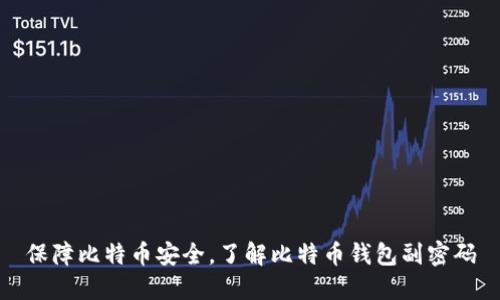 保障比特币安全，了解比特币钱包副密码