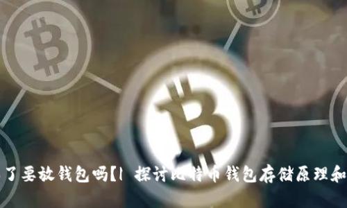 比特币买了要放钱包吗？| 探讨比特币钱包存储原理和安全问题