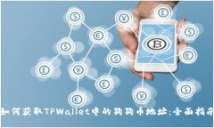 如何获取TPWallet中的狗狗币地址：全面指南