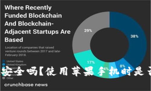 tpwallet安全吗？使用苹果手机时是否会被盗？