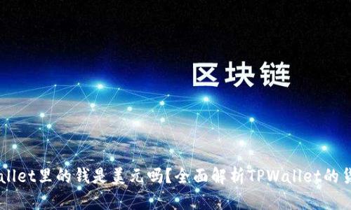 ### TPWallet里的钱是美元吗？全面解析TPWallet的货币及其功能