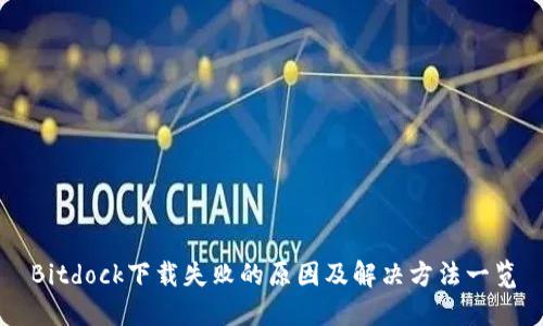 Bitdock下载失败的原因及解决方法一览