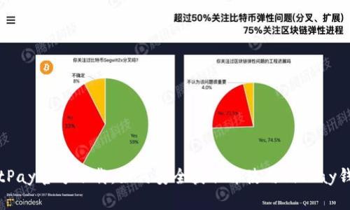 BitPay官方下载：如何安全获取并使用BitPay钱包