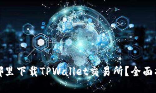 在哪里下载TPWallet交易所？全面指南