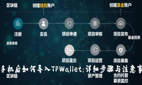 换手机后如何导入TPWallet：详细步骤与注意事项