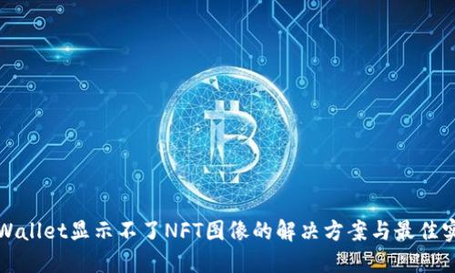 TPWallet显示不了NFT图像的解决方案与最佳实践