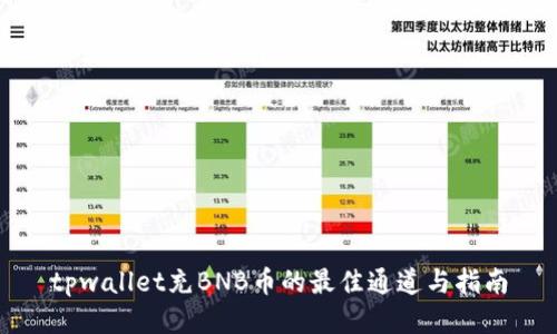 tpwallet充BNB币的最佳通道与指南