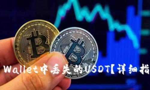  如何找回TP Wallet中丢失的USDT？详细指南与解决方案