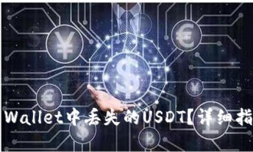  如何找回TP Wallet中丢失的USDT？详细指南与解决方案