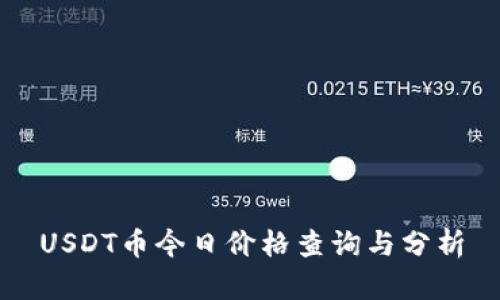 USDT币今日价格查询与分析