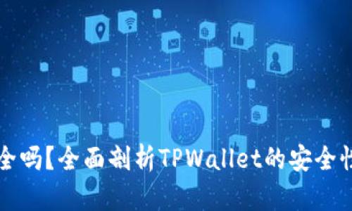 TPWallet安全吗？全面剖析TPWallet的安全性与用户体验