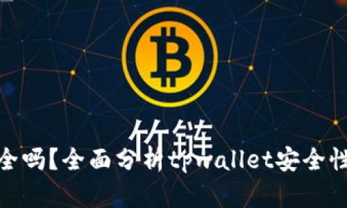 tpwallet安全吗？全面分析tpwallet安全性与使用风险