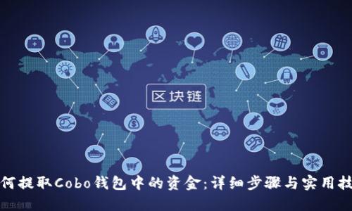 如何提取Cobo钱包中的资金：详细步骤与实用技巧