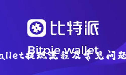 TPWallet提现流程及常见问题解析